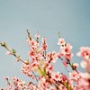 profile_photo